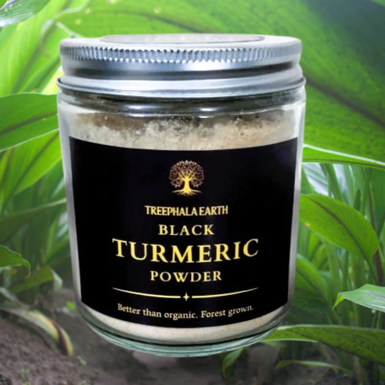 Black Turmeric