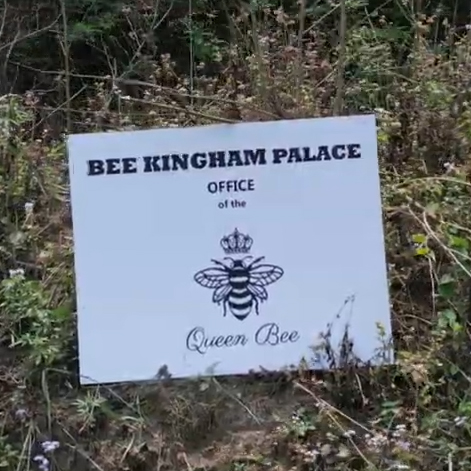 Treephala honey Video